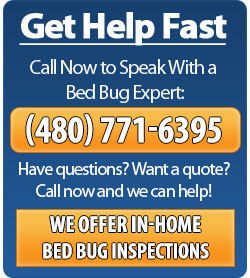 Call Phoenix Bed Bug Expert - (480) 351-6545